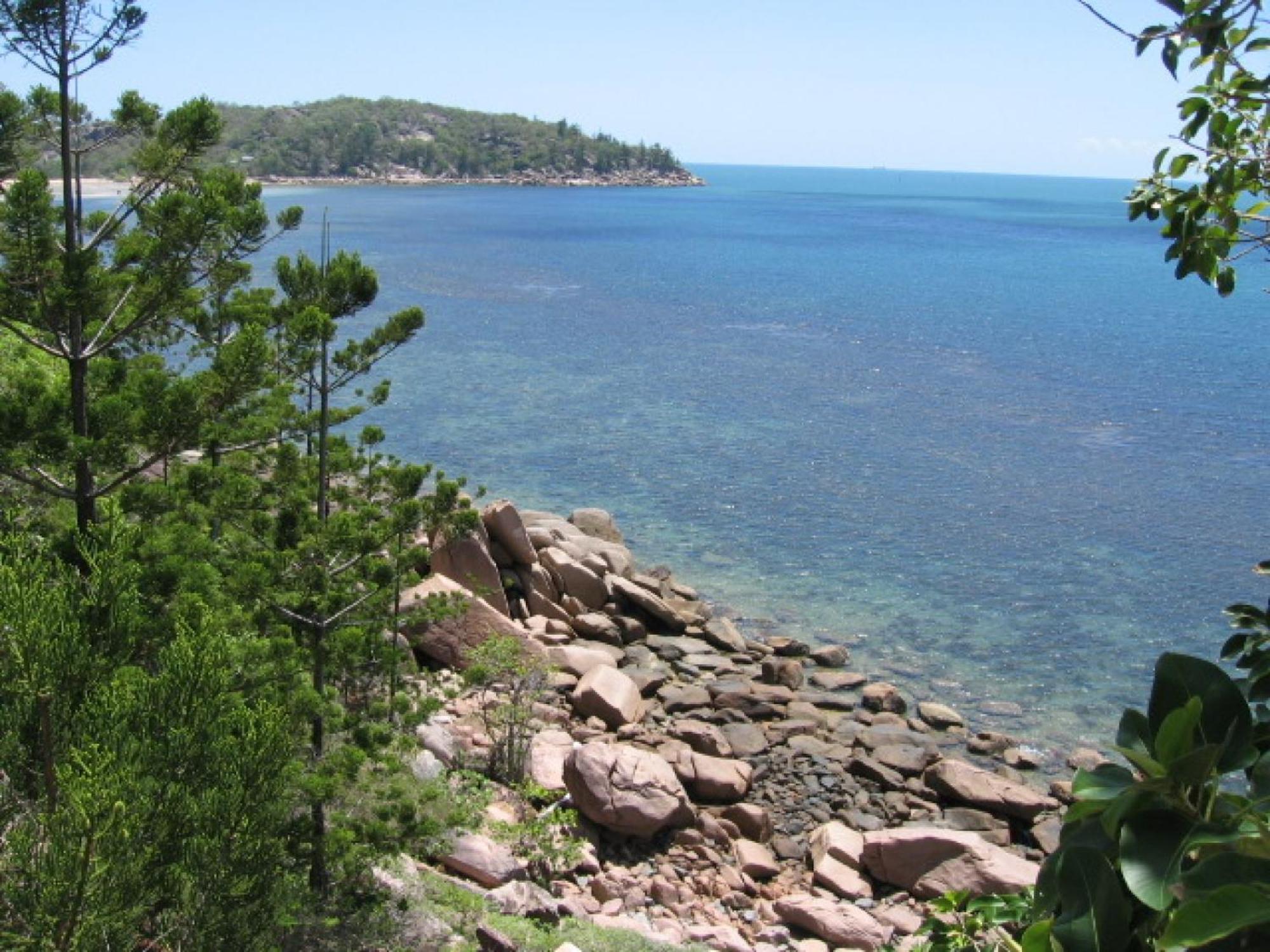 Affordable Island Escape! Queen Studio, Nelly Bay Exteriör bild