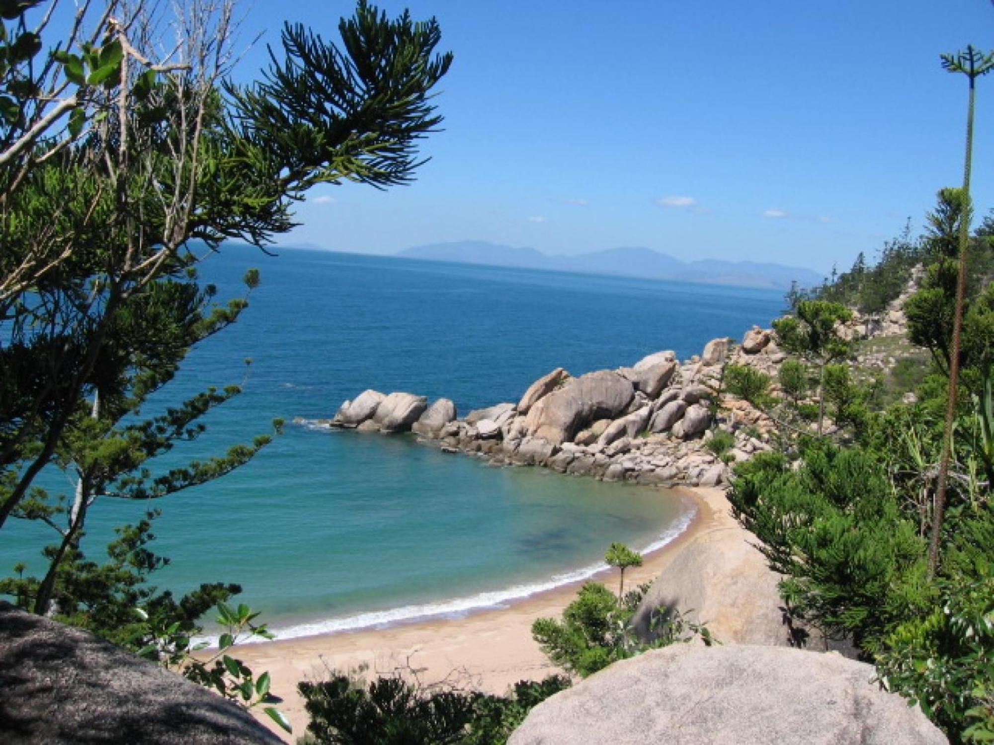 Affordable Island Escape! Queen Studio, Nelly Bay Exteriör bild